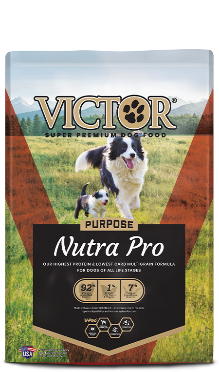 Victor Nutra Pro Dog 15lb