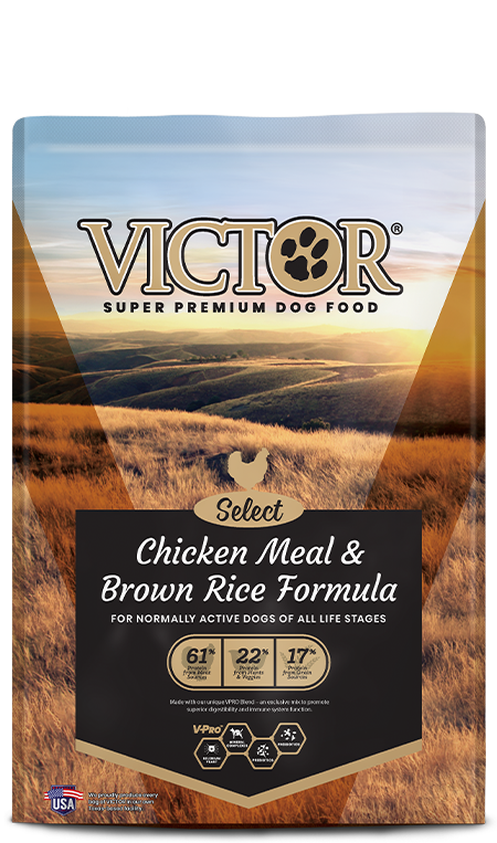 Victor Chicken & Rice Dog 15lb