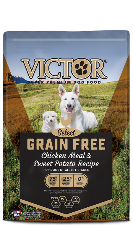 Victor Grain Free Chicken Dog 15lb