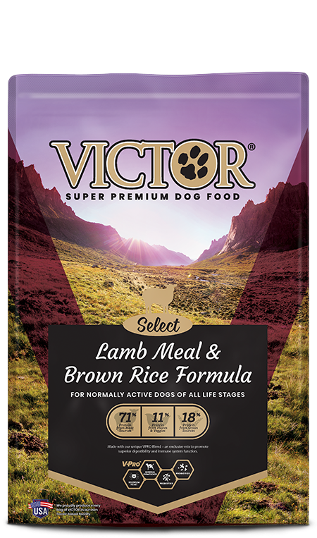 Victor Lamb & Rice Dog 15lb