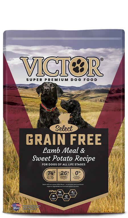 Victor Grain Free Lamb 15lb