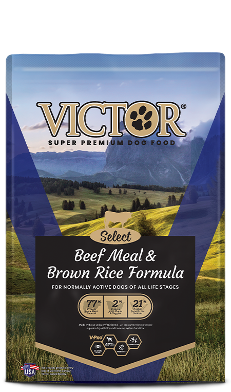Victor Beef & Rice Dog 15lb