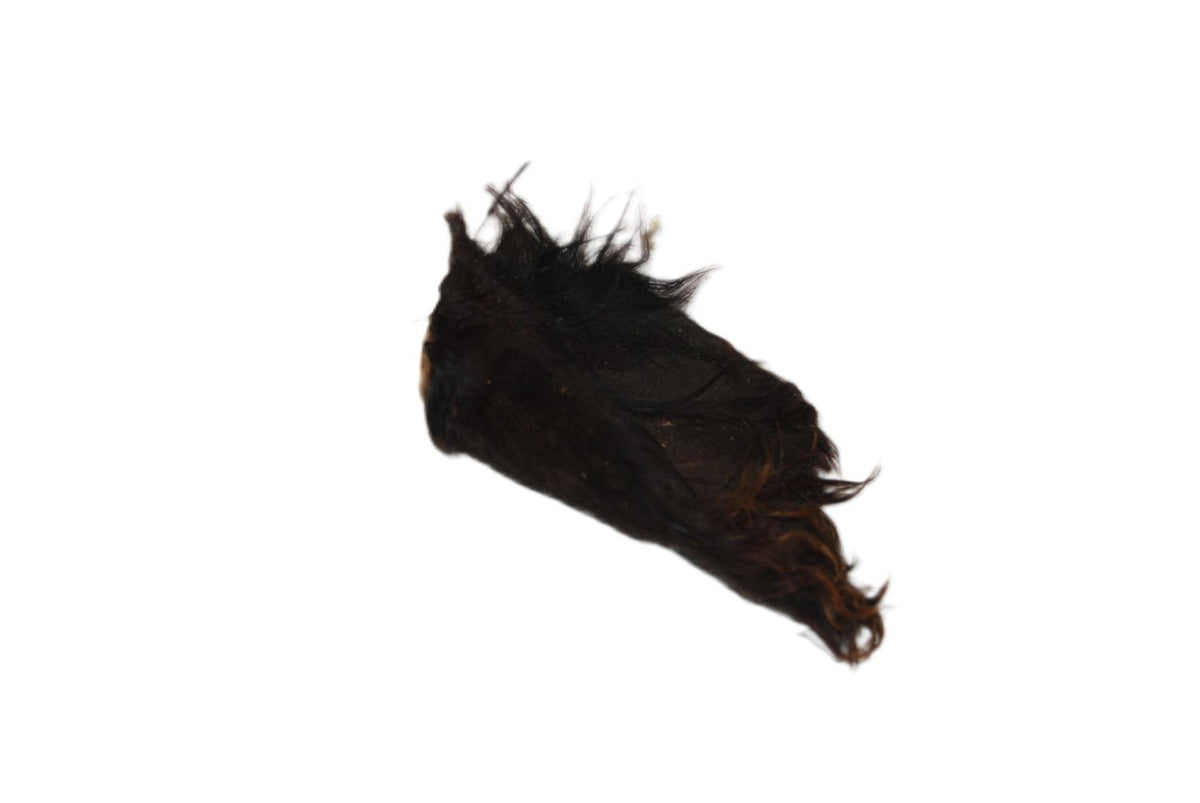Ranch To Bowl Cow Ear With Hair