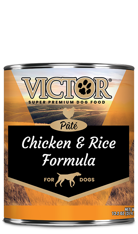 Victor Chicken & Rice Canned Pate 13oz Dog food
