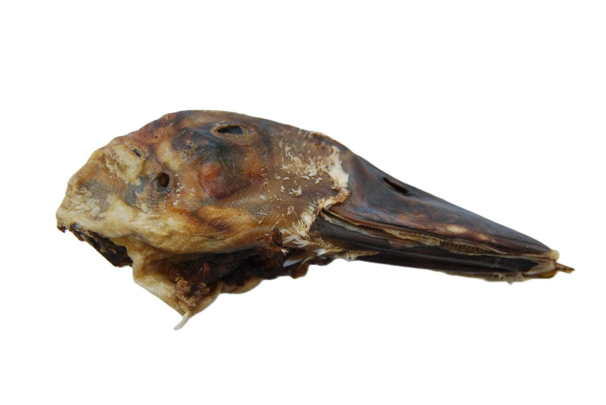 Freeze Dried Whole Duck head