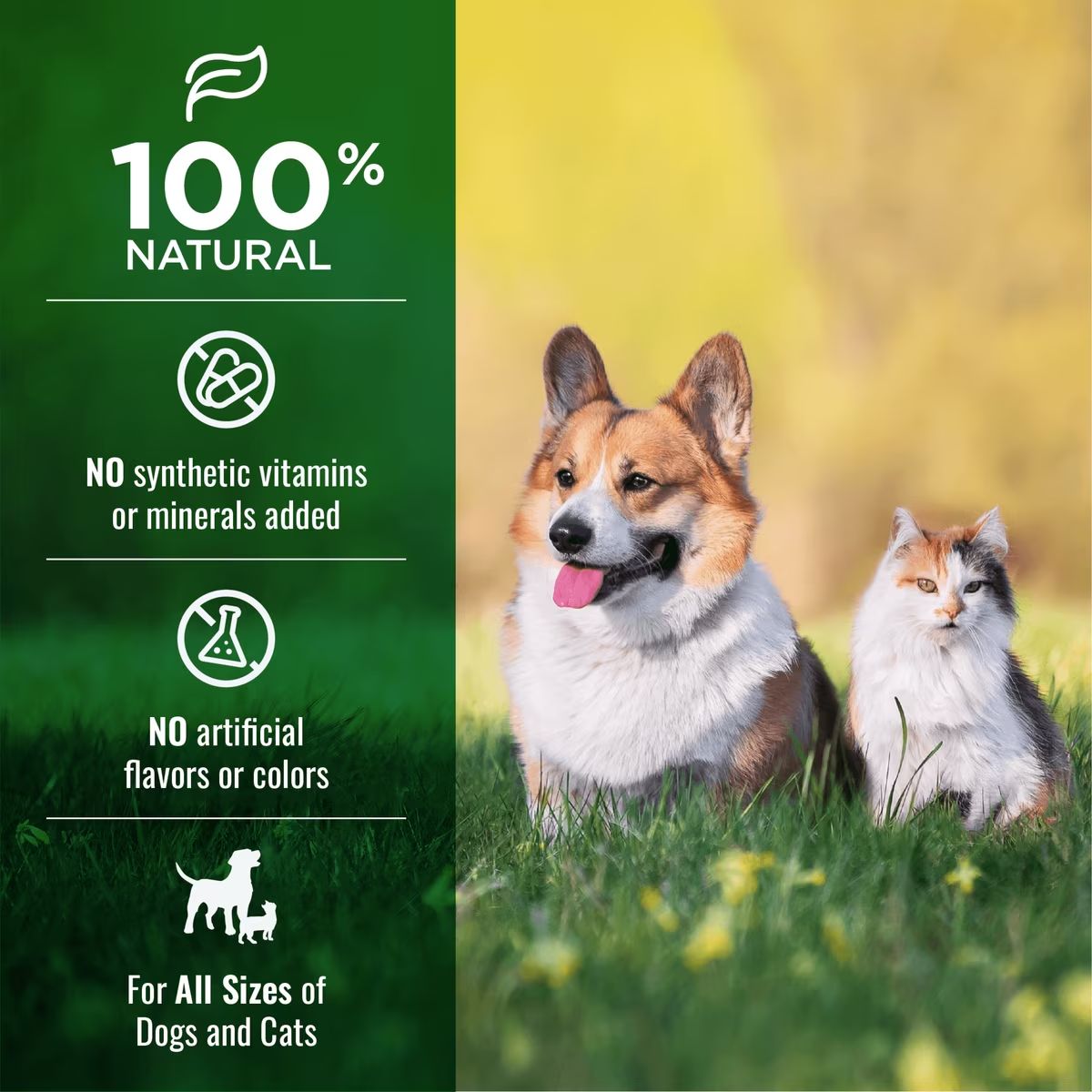 Nature's Logic Beef Lung Bites 3.5 oz