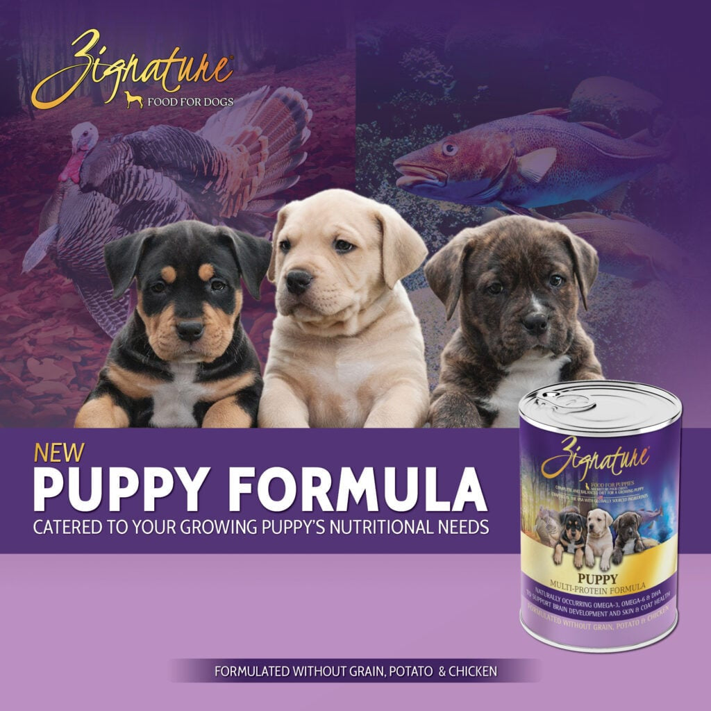 Zignature Puppy Formula Dog Can 13oz