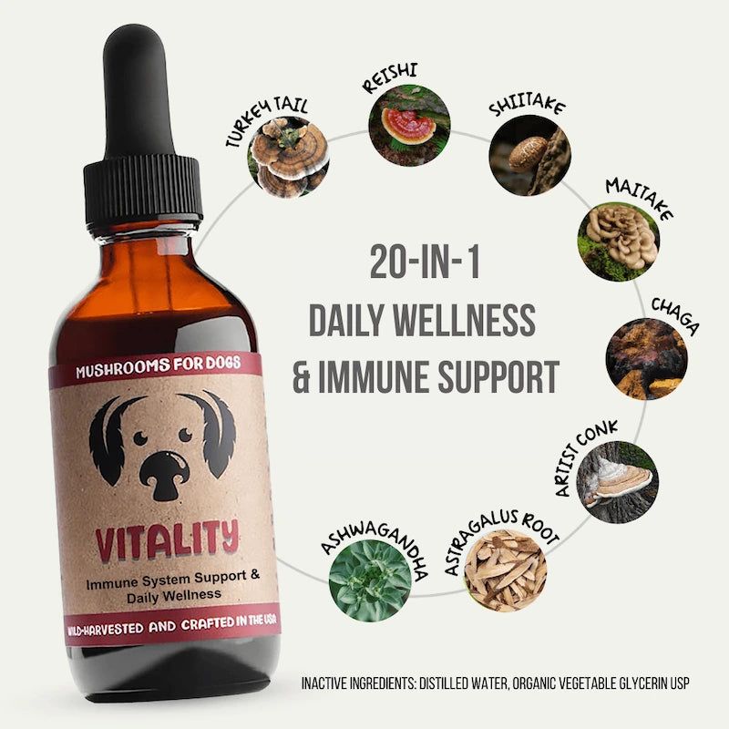 MycoDog Vitality 2oz