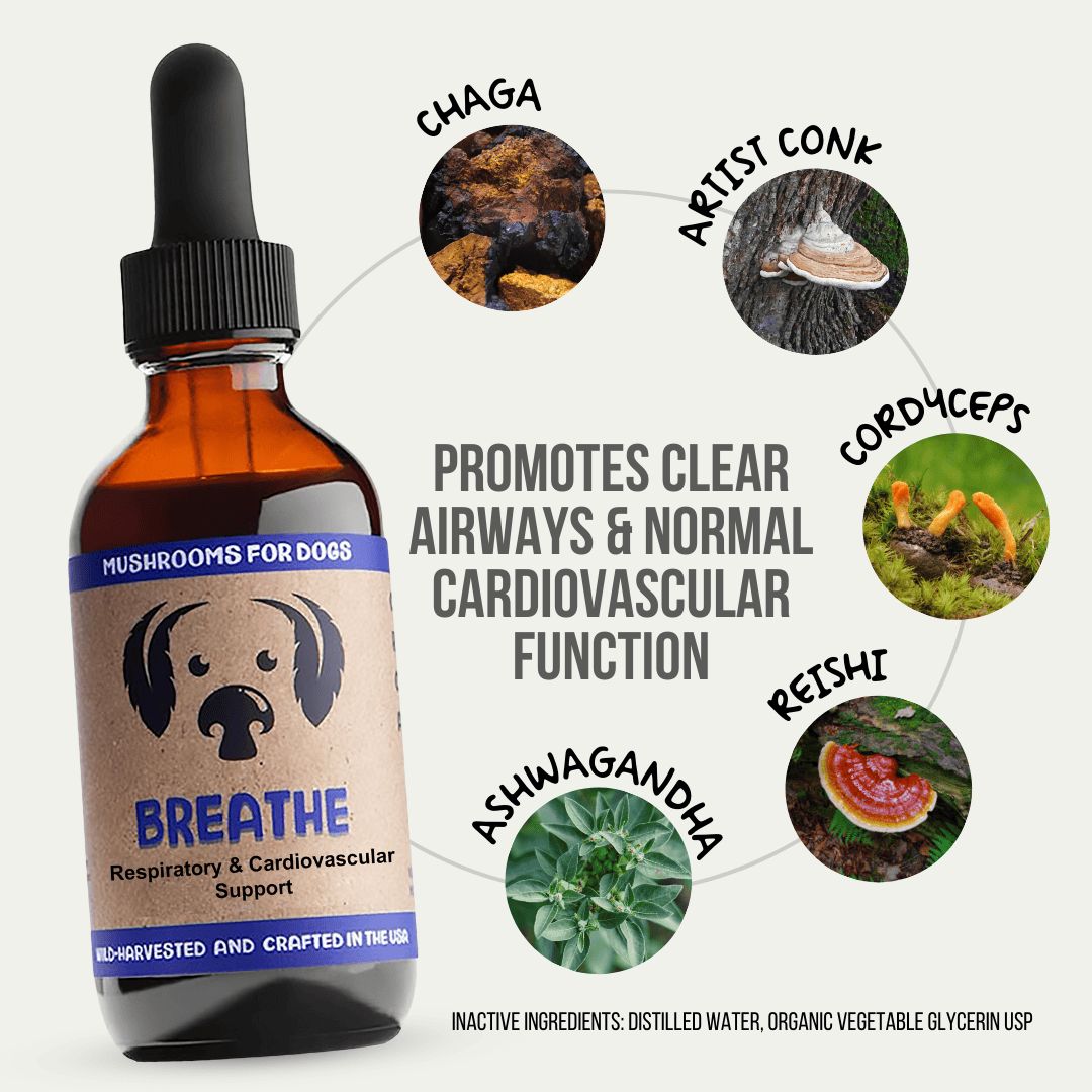 MycoDog Breathe 2oz