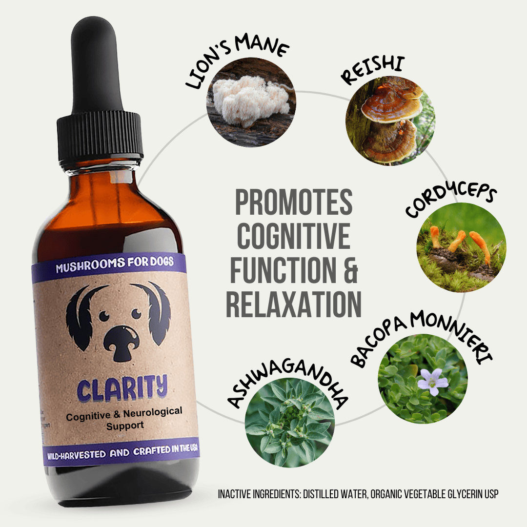 MycoDog Clarity 2oz