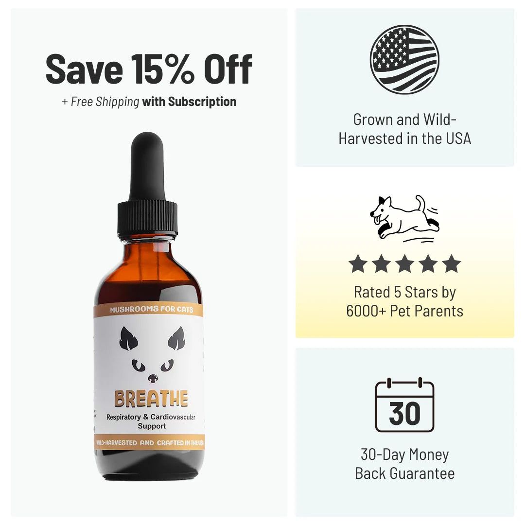 MycoCat Breathe 2oz