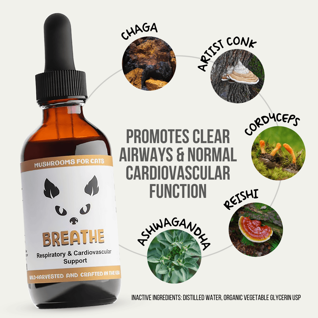 MycoCat Breathe 2oz