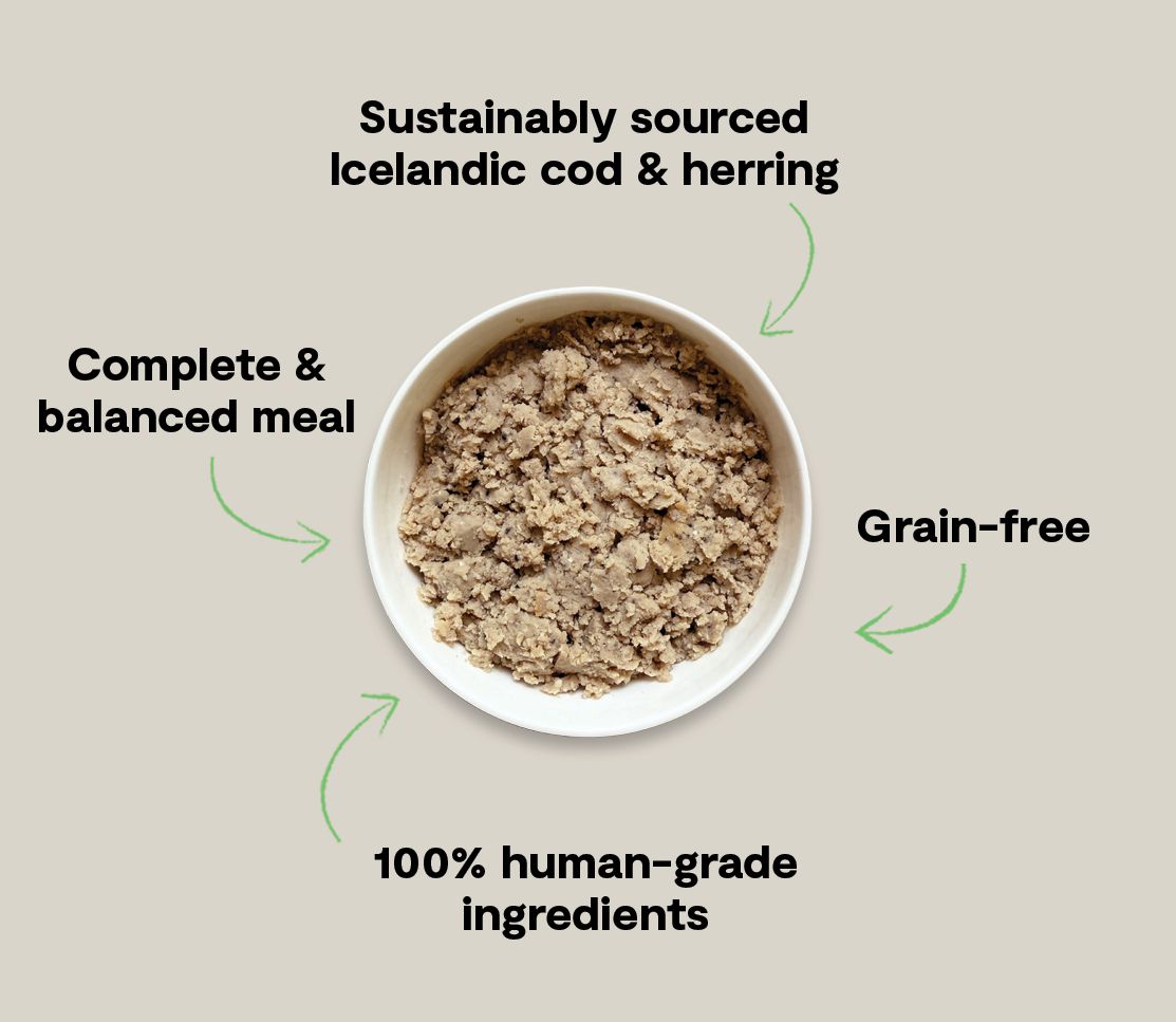 Open Farm Dog Grain Free COD HERNG Blueberry 7 oz