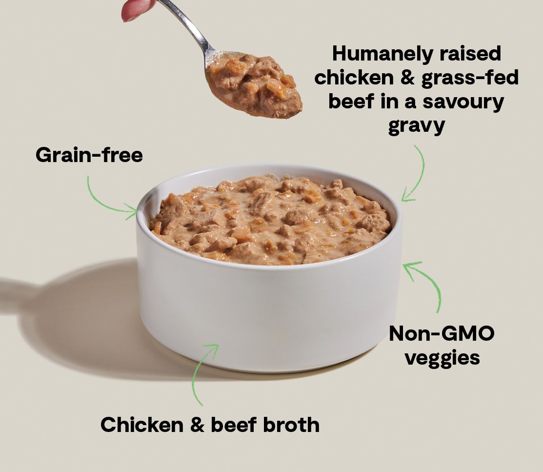 Open Farm Dog Grain Free Chicken Beef 12.5 oz