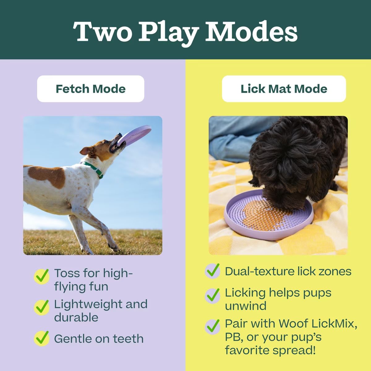 Woof Dog Forager FLY N FEED