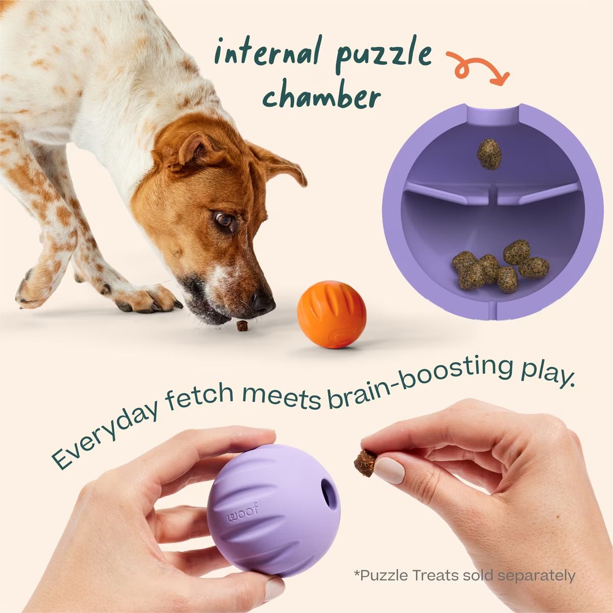 Woof Dog Forager Flyball Lavender