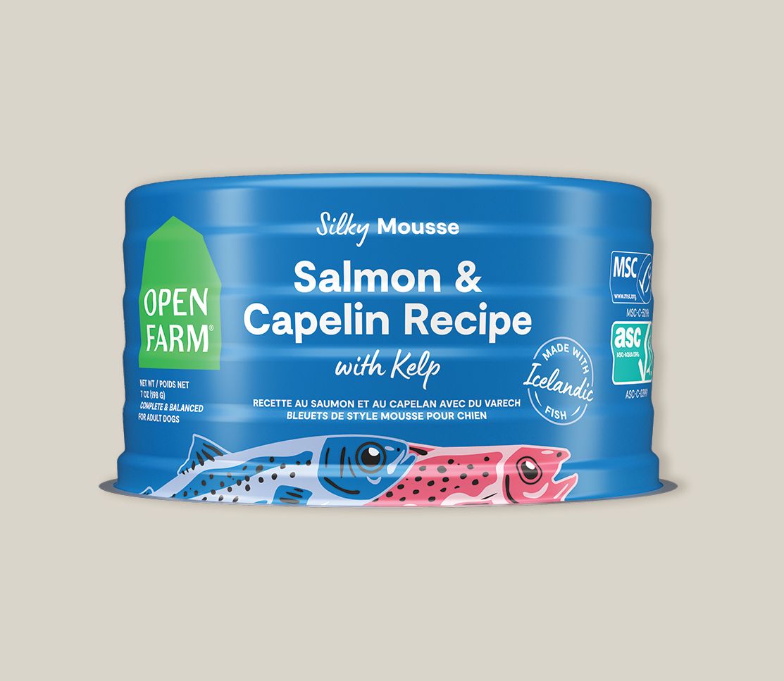 Open Farm Dog Grain Free Salmon CPLN KELP 7 oz