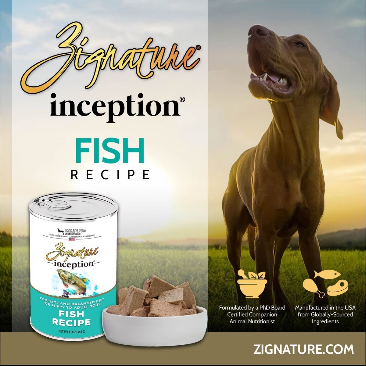 Zignature ZIGNA Dog INCEPT Fish 13 oz