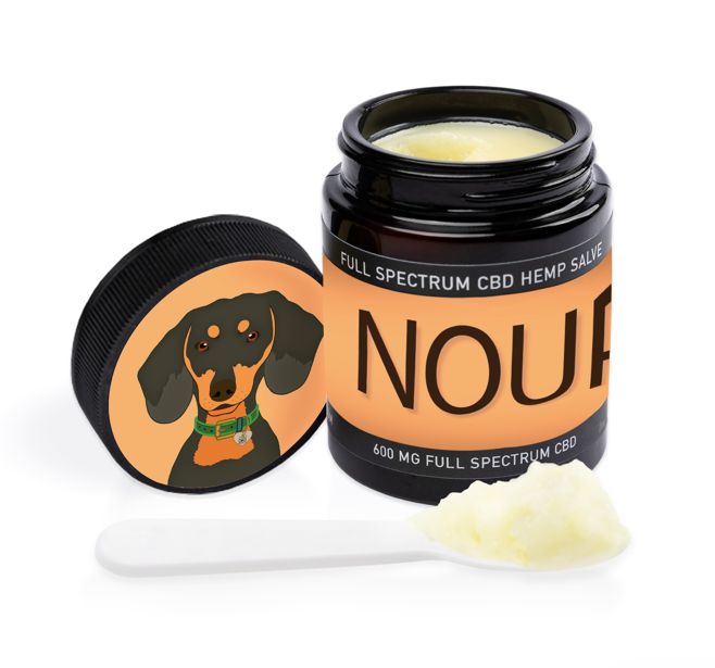 CBD Dog Health Nourish 300mg 2oz