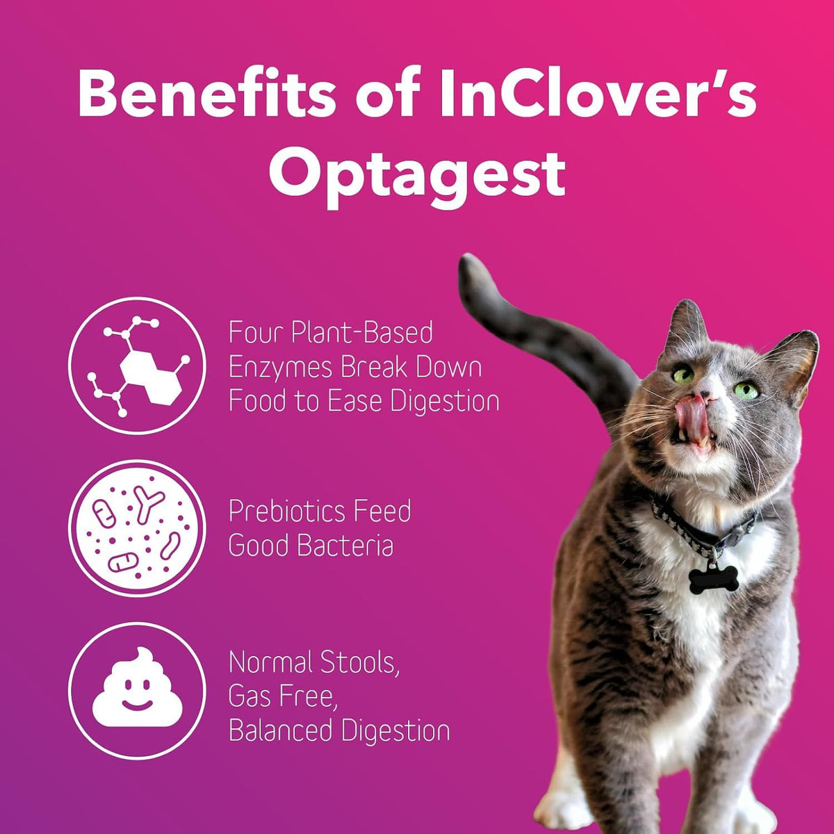 OptaGest Digestive Aig 100g