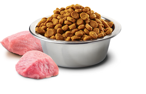 Farmina Dog Grain Free BOAR APL MIN 5.5 lb