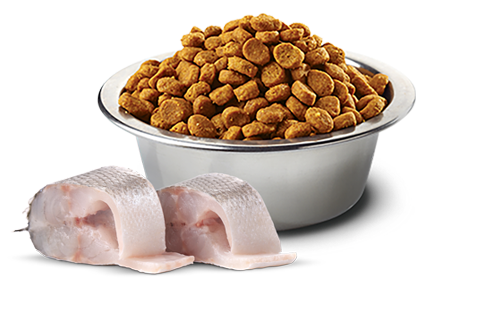 Farmina Dog White Seabass MD MAX 4.4 lb