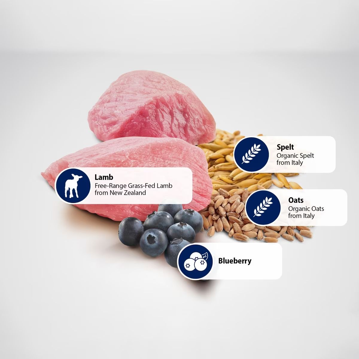 Farmina Ancestral Grains Lamb & Blueberry Medium & Maxi Dog 26.5lb