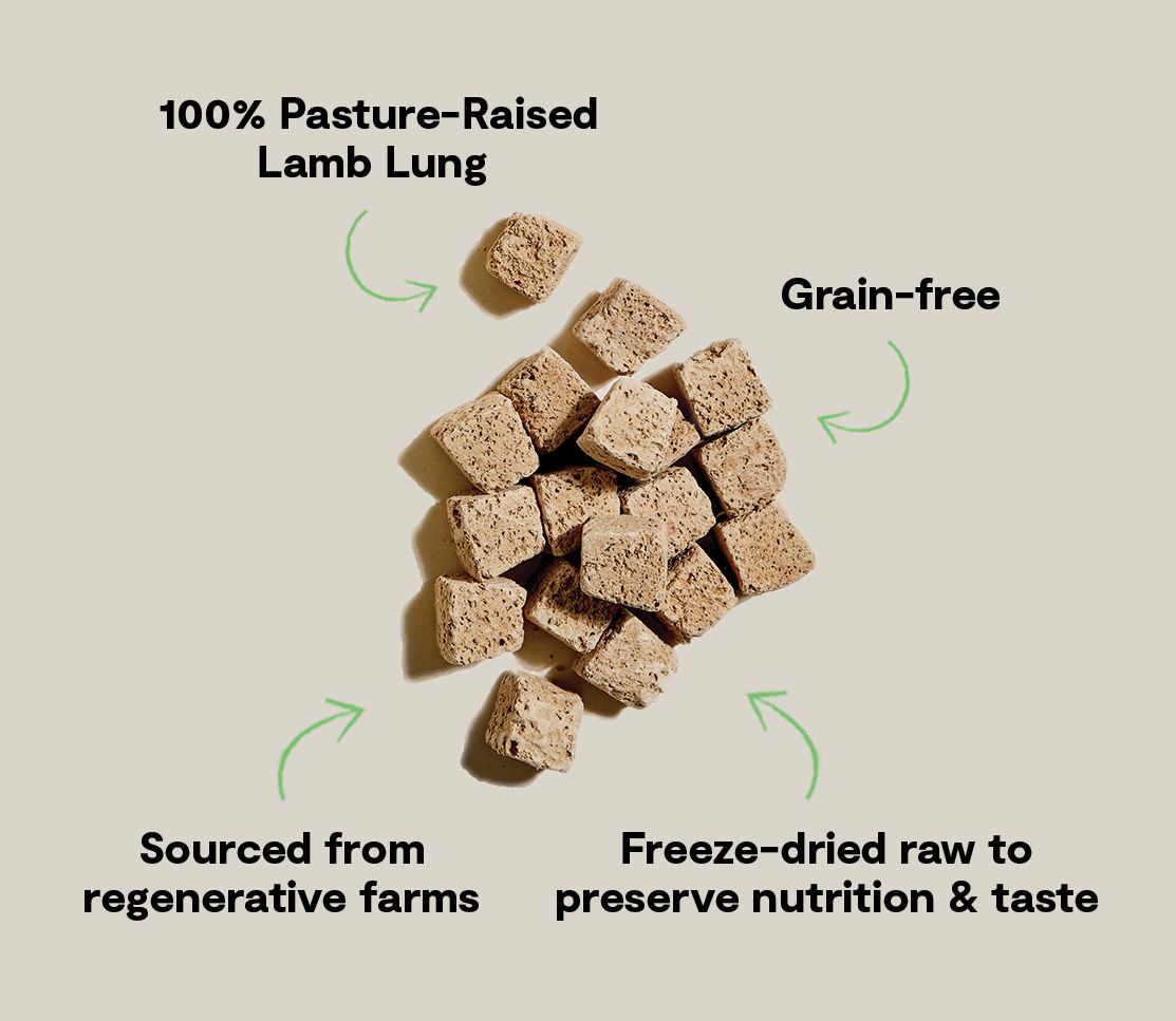 Open Farm Freeze Dried Lamb Lung 3oz