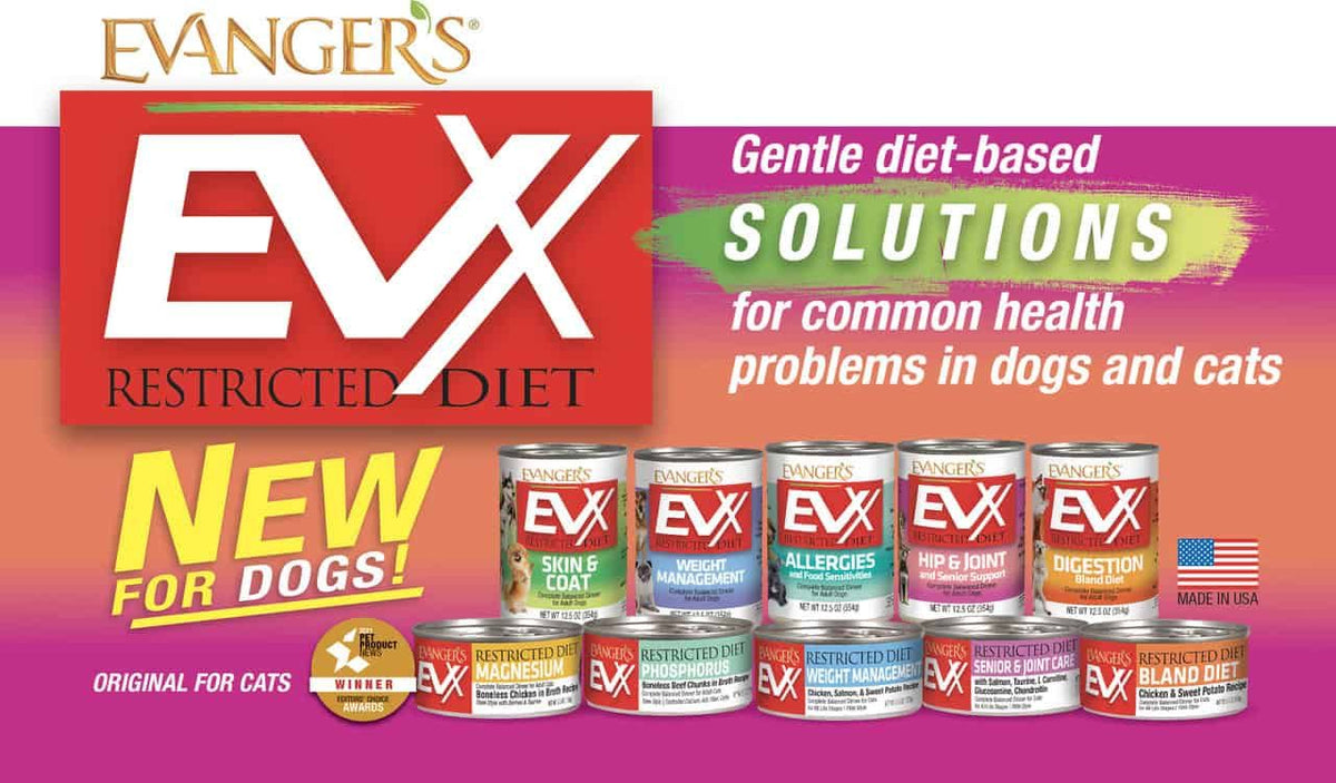 Evanger's Skin & Coat 12oz