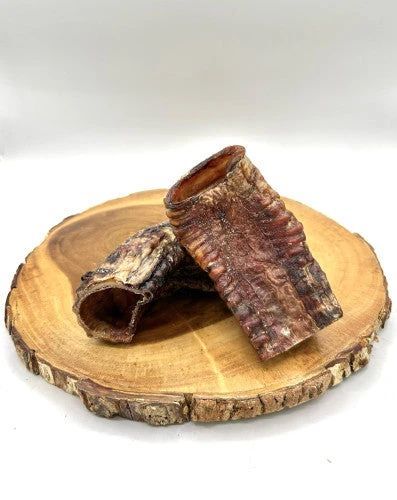 Bison Trachea Half