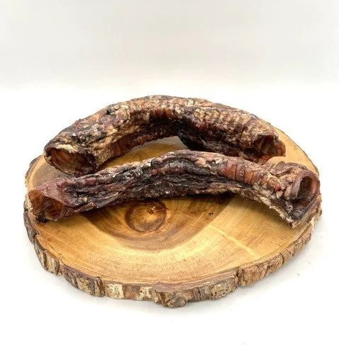 Anderson's Bison Trachea