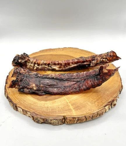 Anderson's Bison Trachea