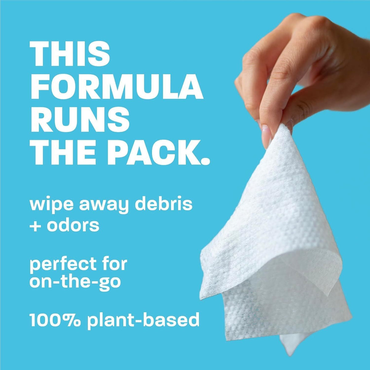 TC Hypo 100ct Wipes 100 ct