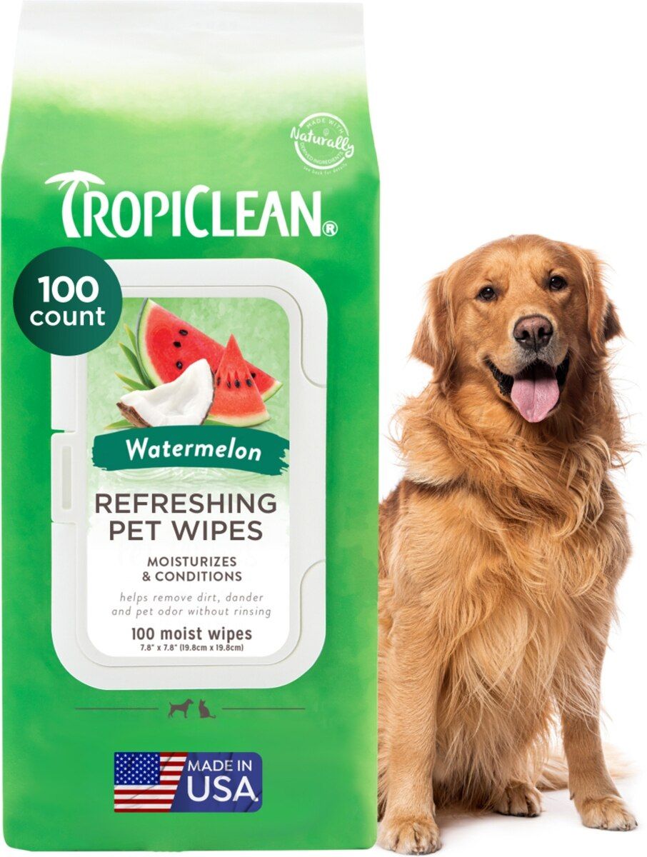 TC Wipes Wtrmln 100ct