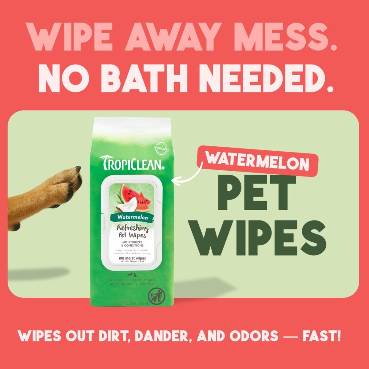 TC Wipes Wtrmln 100ct